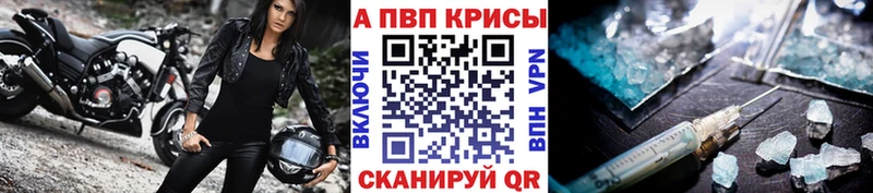 A PVP СК  Гусев 