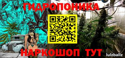 прущие крисы Лесосибирск