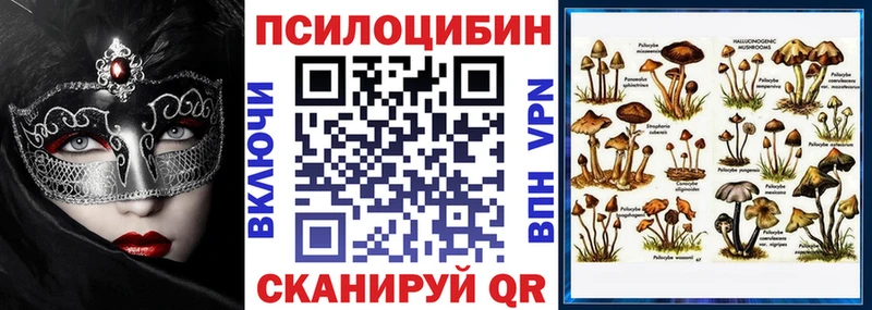 omg сайт магазин продажи наркотиков Гусев Галлюциногенные грибы Magic Shrooms