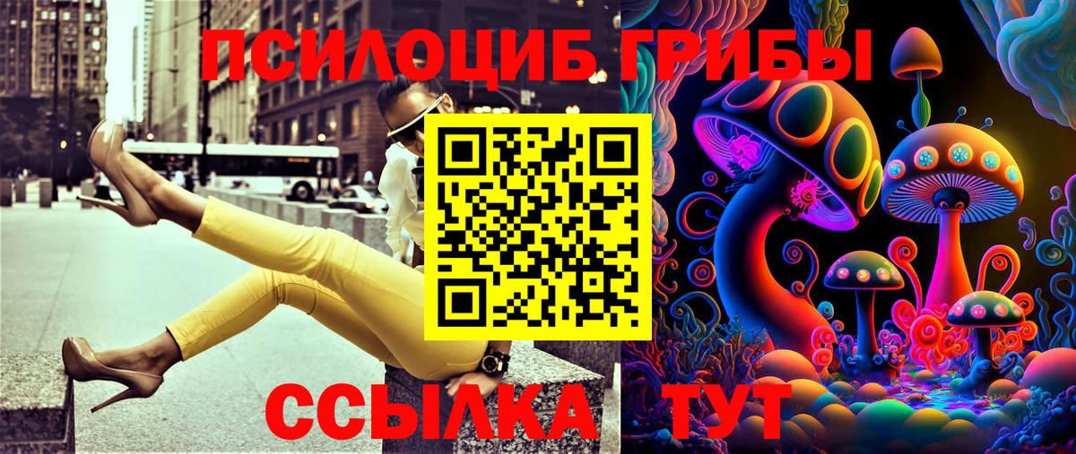 Псилоцибиновые грибы GOLDEN TEACHER  Вход с VPN  где продают   Псилоцибиновые грибы прущие грибы  Гусев 
