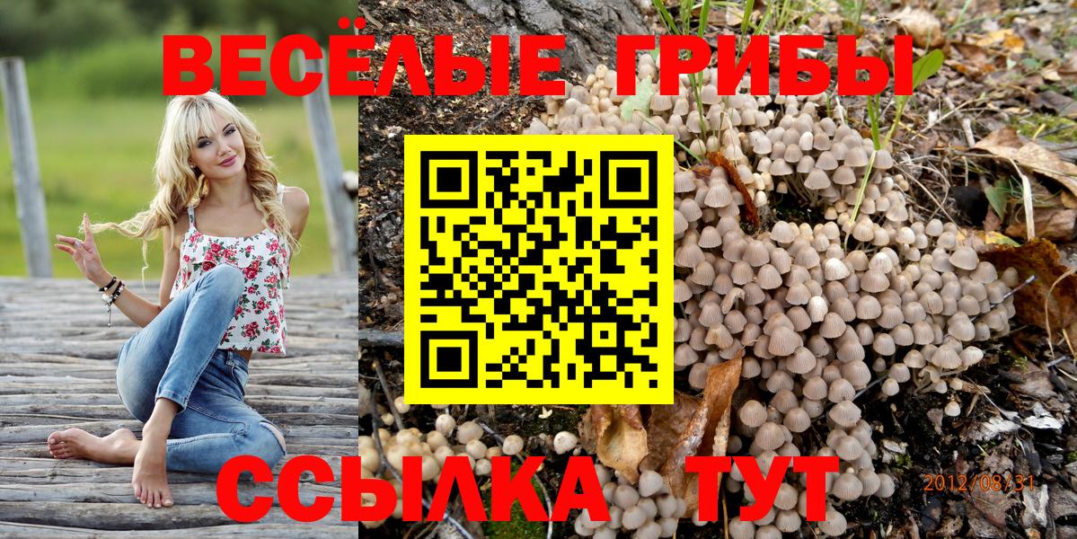 Галлюциногенные грибы MAGIC MUSHROOMS Гусев